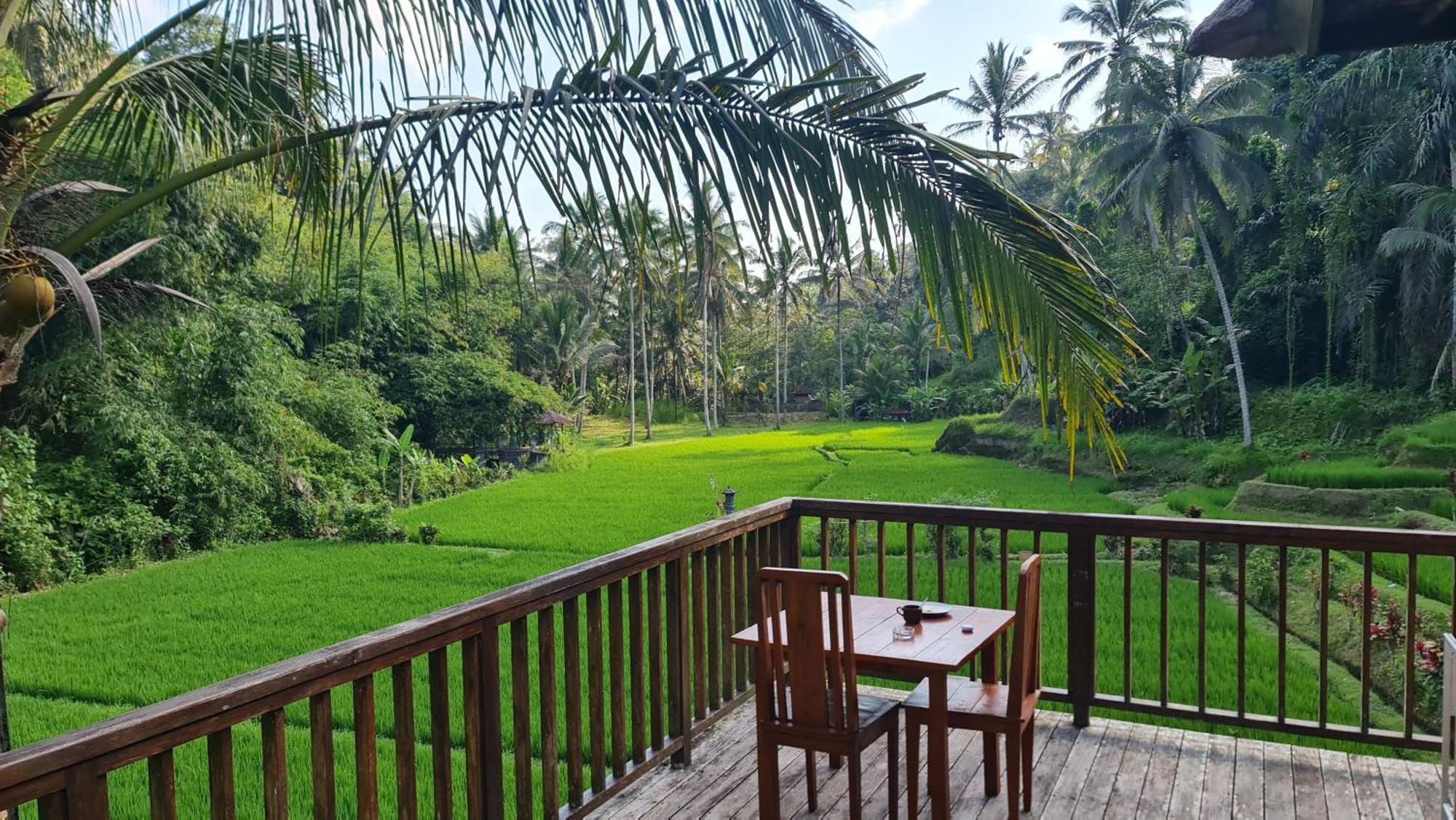 Tirta Sari Villa Tampaksiring Dış mekan fotoğraf
