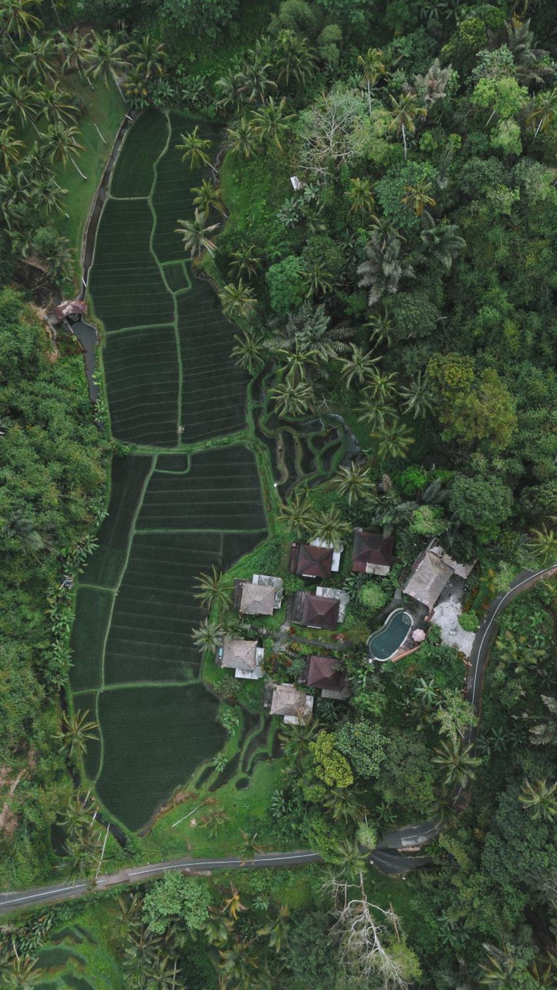 Tirta Sari Villa Tampaksiring Dış mekan fotoğraf